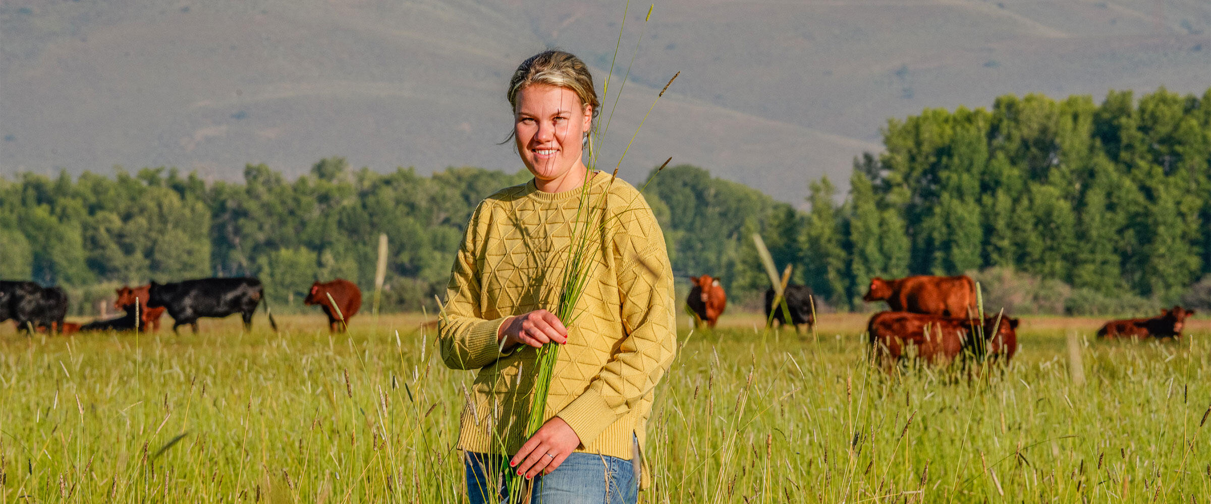 A young woman stands in a pasture with stalks of grass in her hands.
