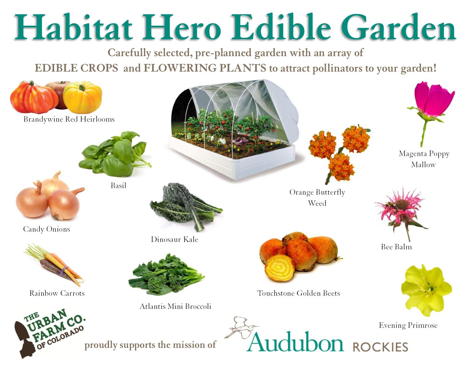 Habitat Hero Edible Garden Audubon Rockies