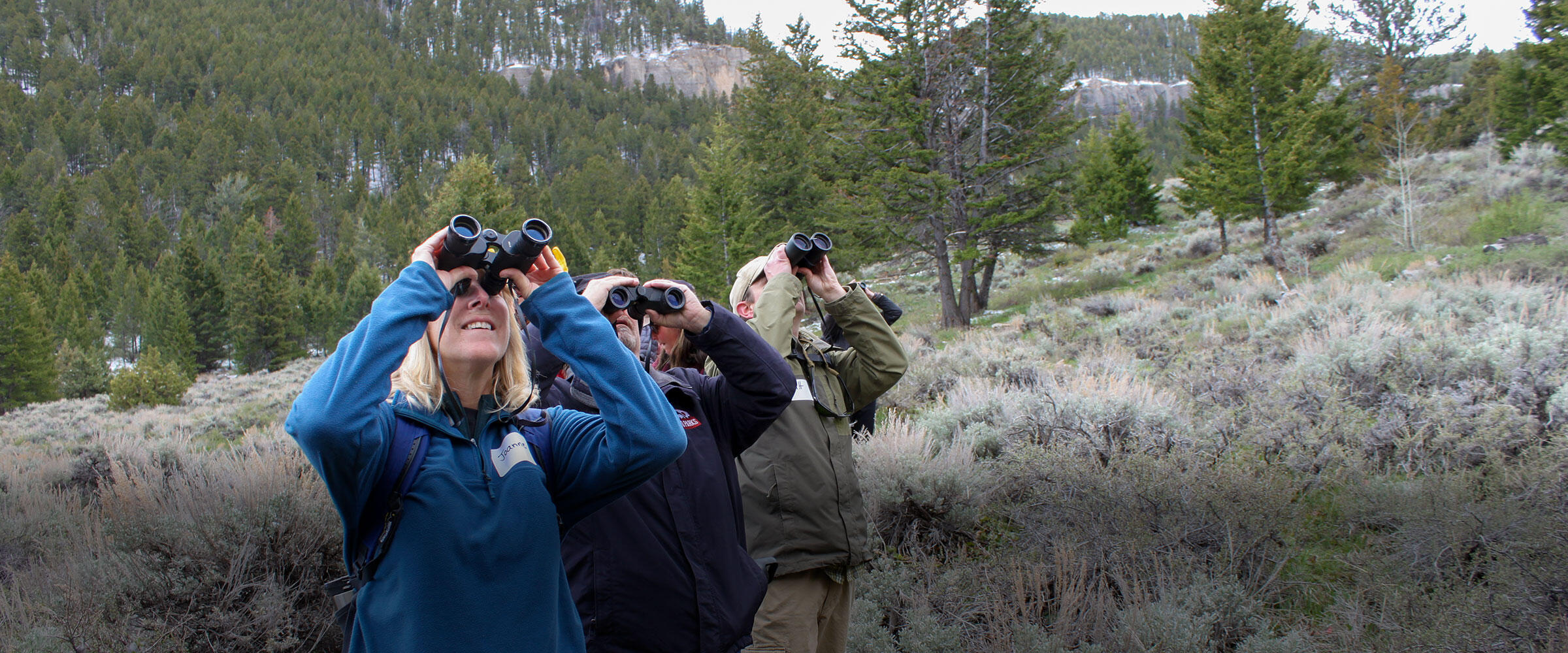 People look through binoculars in sagebrush meadow.
