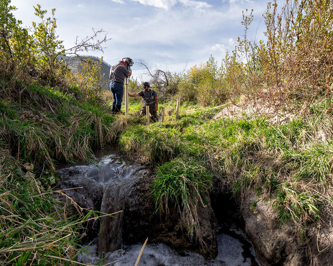 Two men pound posts into an incised creek.