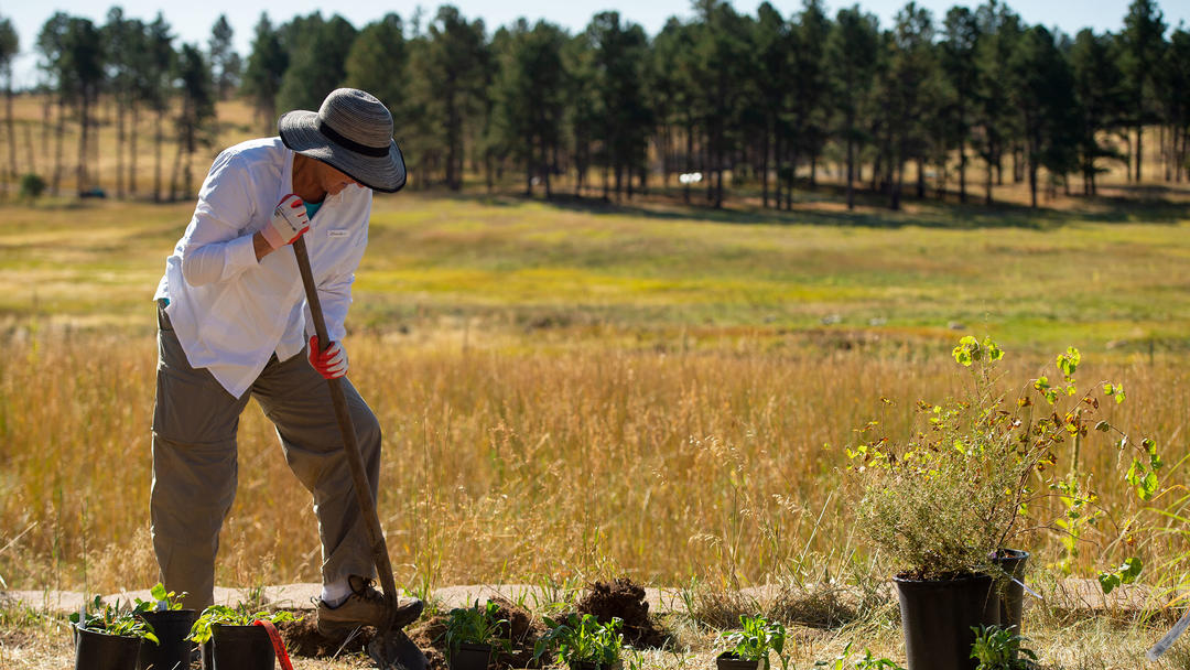 A volunteer digs holes for the Habitat Hero garden at Kiowa Creek Ranch. 