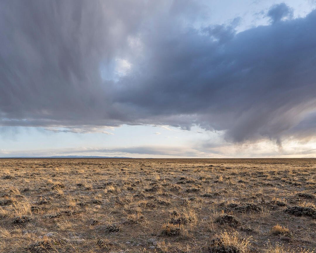Storm clouds over sagebrush steppe.
