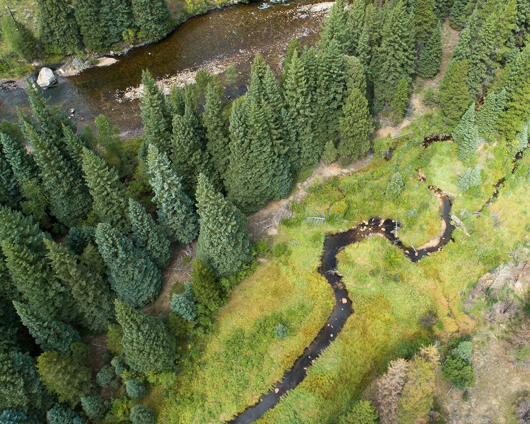 Colorado Healthy Headwaters Working Group | Audubon Rockies