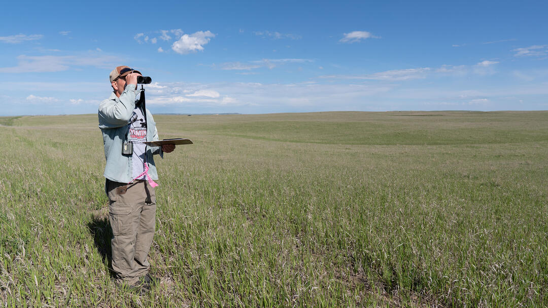 Bill Vetter monitoring birds on Rockin' 7 Ranch in eastern Wyoming.