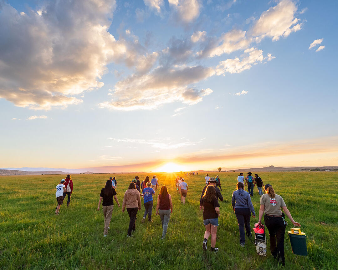 People walk across a grassy meadow.