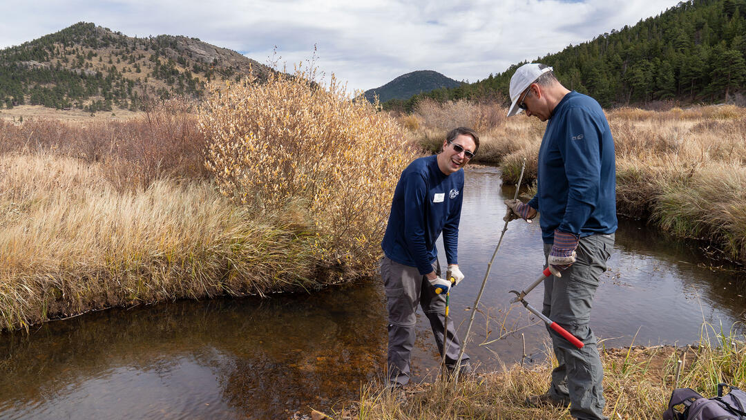 Volunteers plant willow saplings next to a montane stream.