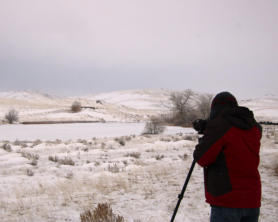 An adult with a spotting scope stand with their back to the camera while observing a snowy landscape.