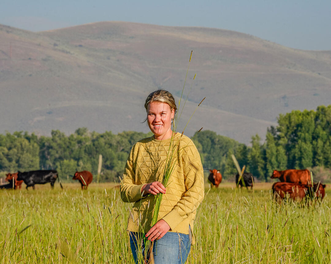 A young woman stands in a pasture with stalks of grass in her hands.