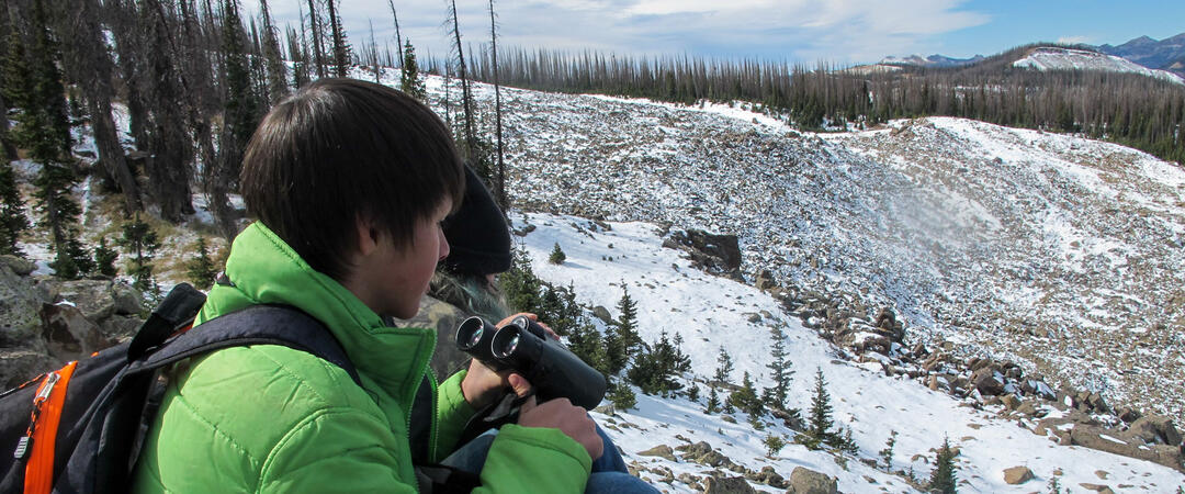 A boy looks for pikas in the mountains