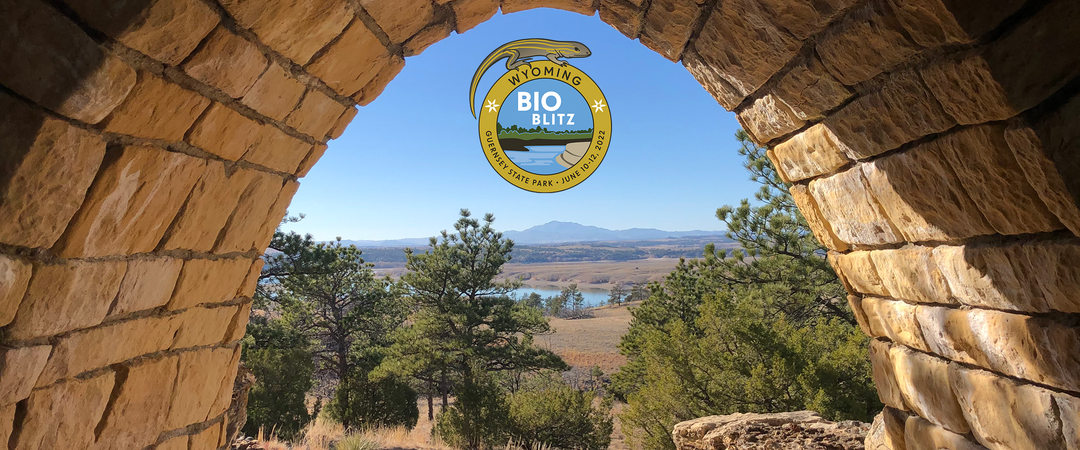 Brick archway leading to a forested vista with Wyoming BioBlitz 2022 logo on top.