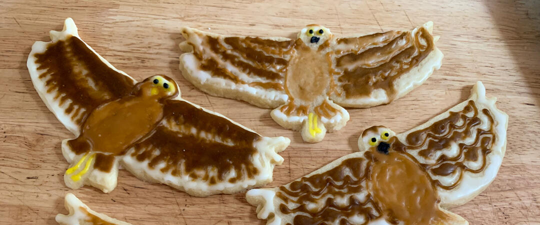 Cookes shaped and decorated like Burrowing Owls in flight.
