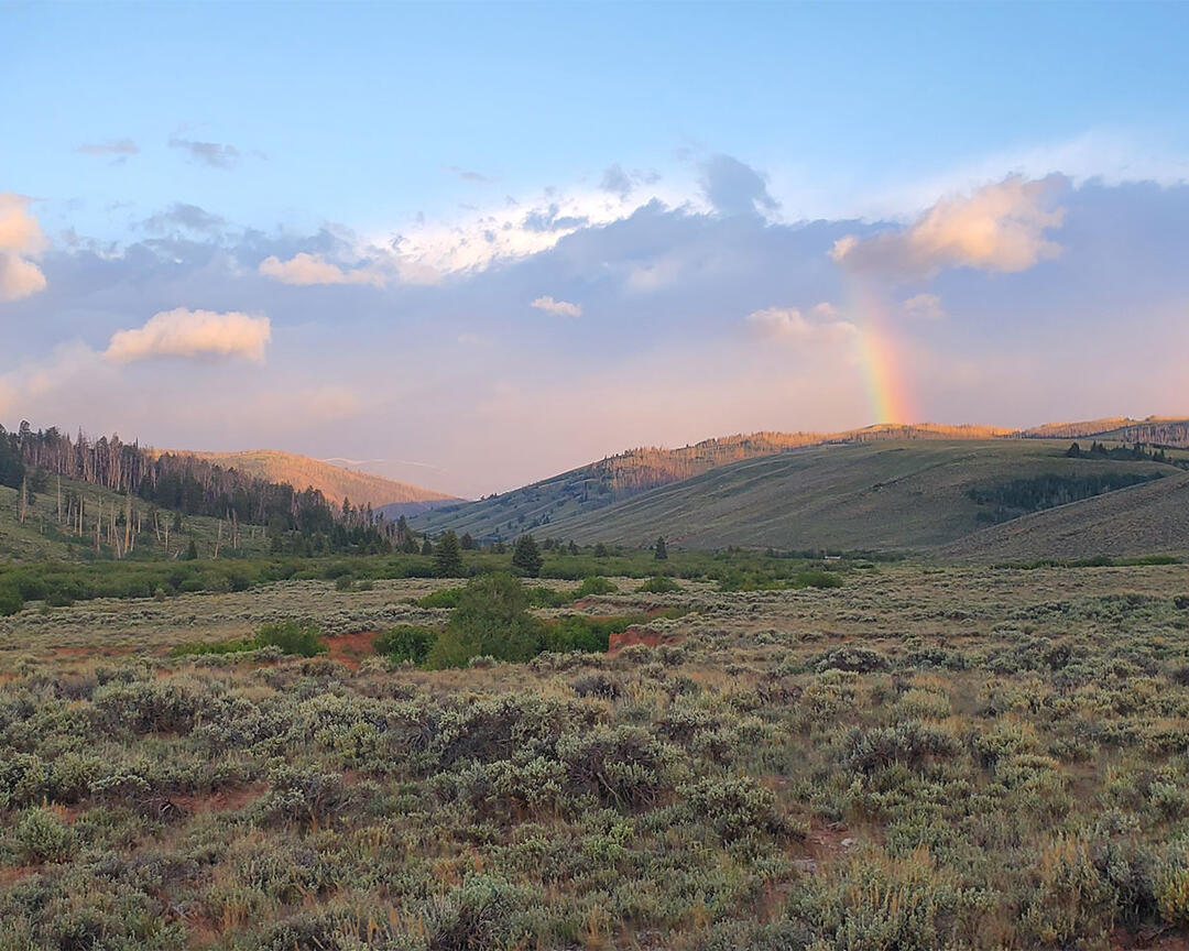 A partial rainbow over sagebrush steppe landscape.