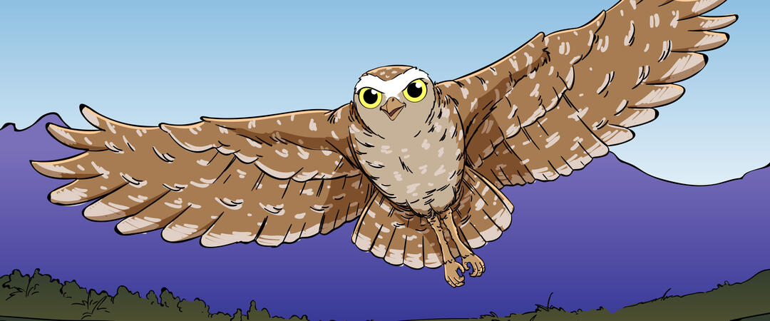 An illustration of a Burrowing Owl in flight.